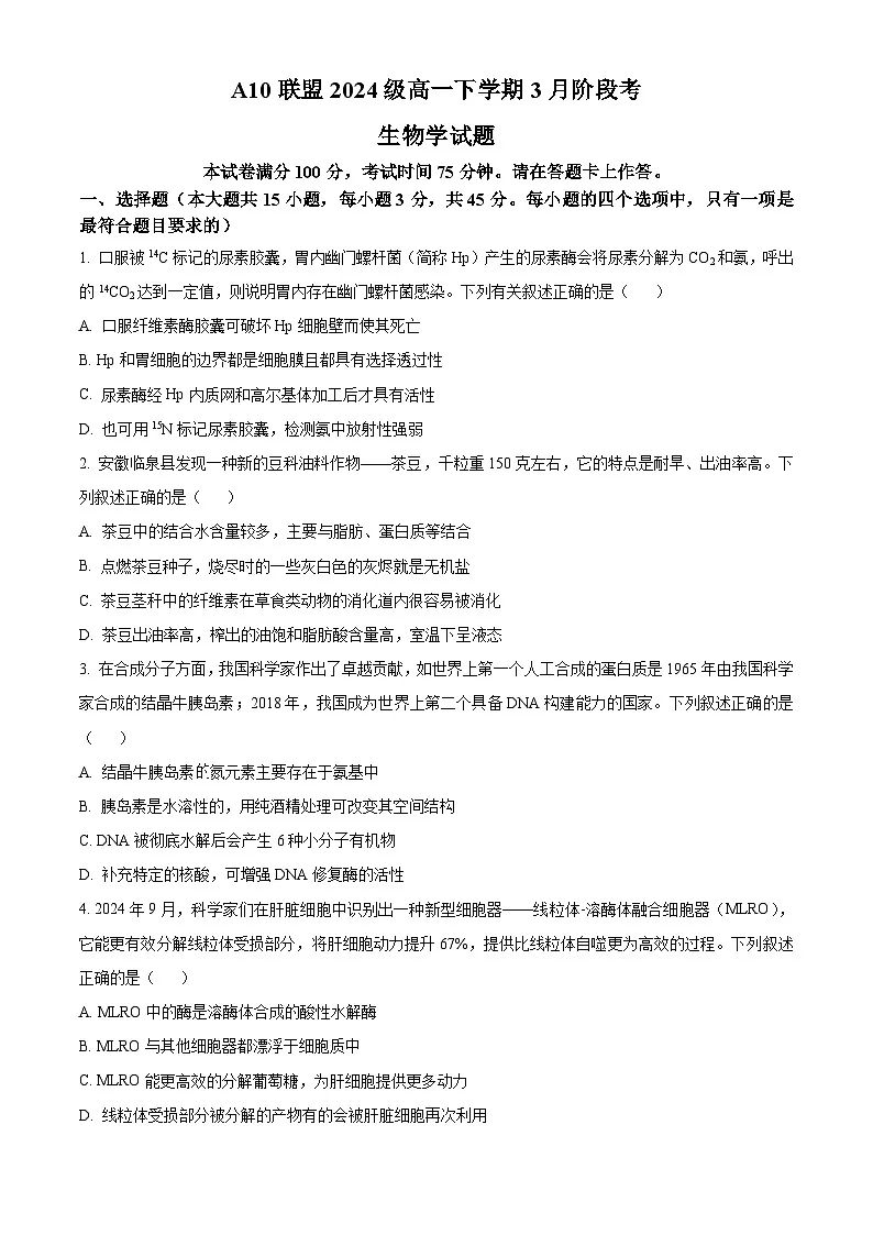 安徽省A10联盟2024-2025学年高一下学期3月阶段考生物试卷（原卷版+解析版）第1页