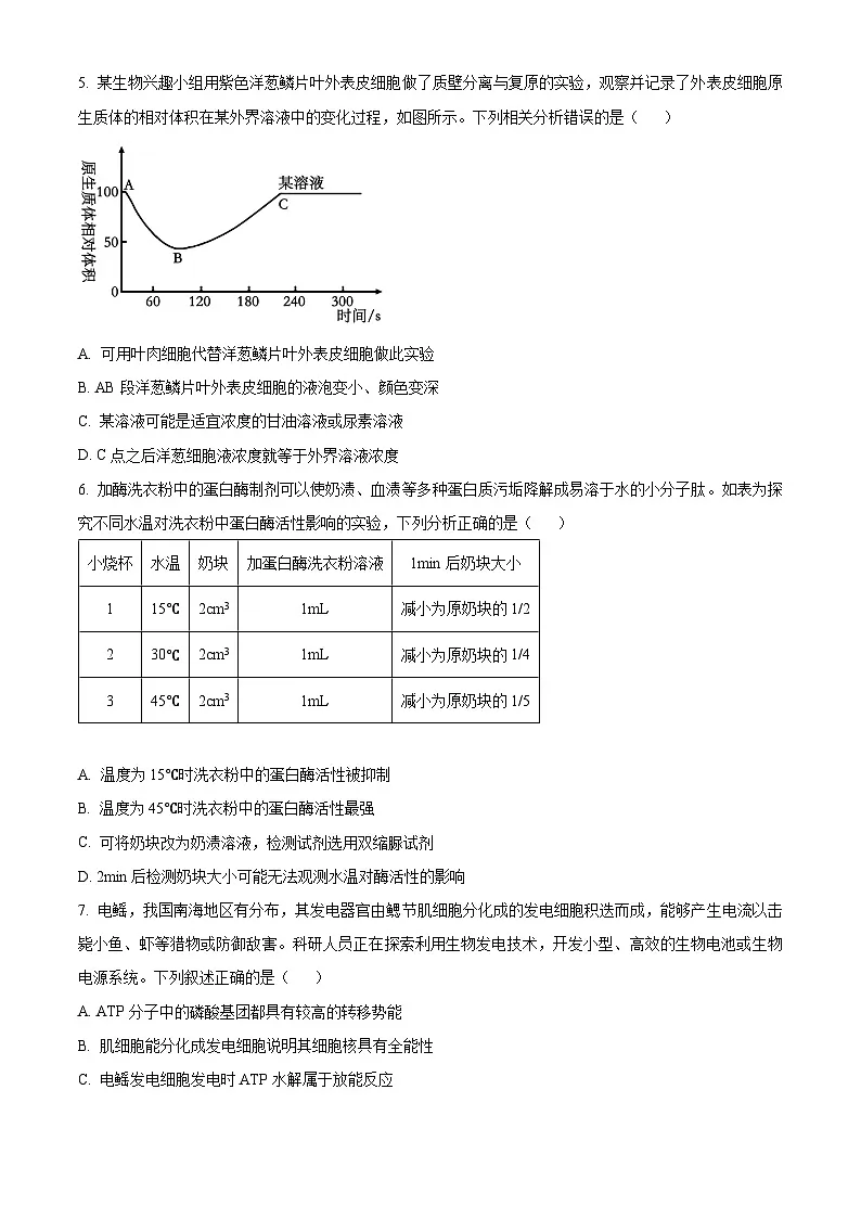 安徽省A10联盟2024-2025学年高一下学期3月阶段考生物试卷（原卷版+解析版）第2页
