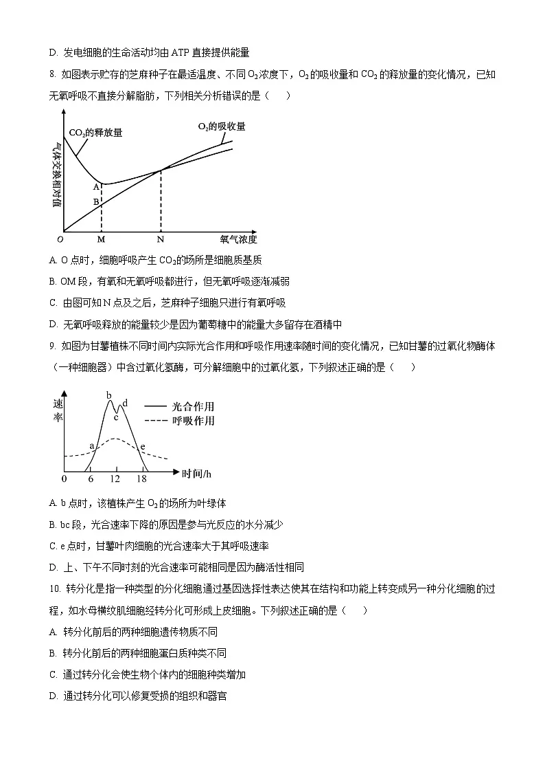 安徽省A10联盟2024-2025学年高一下学期3月阶段考生物试卷（原卷版+解析版）第3页