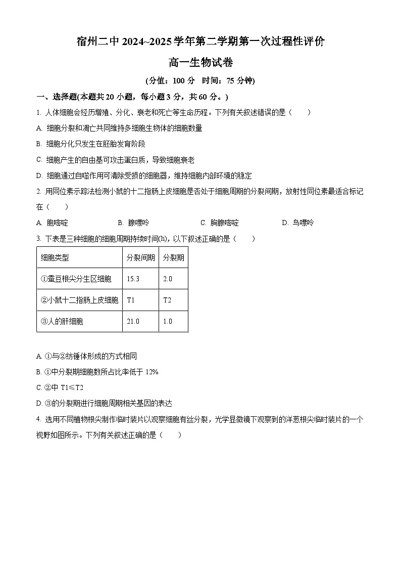 安徽省宿州市2024-2025学年高一下学期3月月考生物试题（原卷版+解析版）第1页