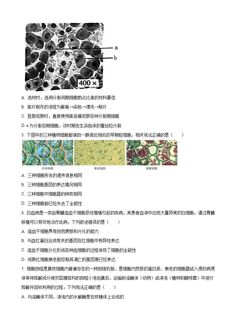 安徽省宿州市2024-2025学年高一下学期3月月考生物试题（原卷版+解析版）第2页