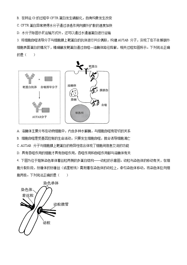 安徽省天一大联考2024-2025学年高一下学期3月月考生物试题（原卷版+解析版）第2页