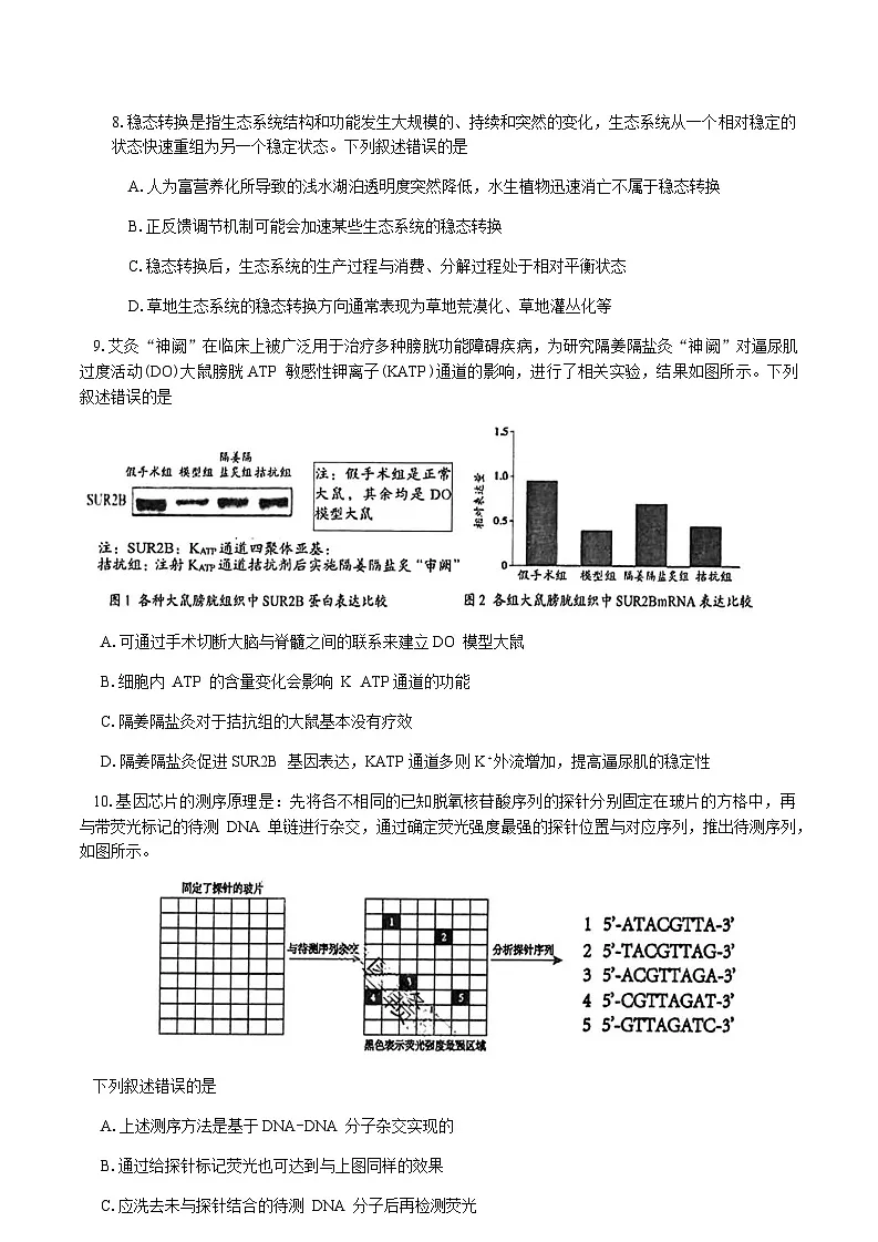 湖南省岳阳市2025届高三下学期教学质量监测（二）生物学试题（含答案）第3页