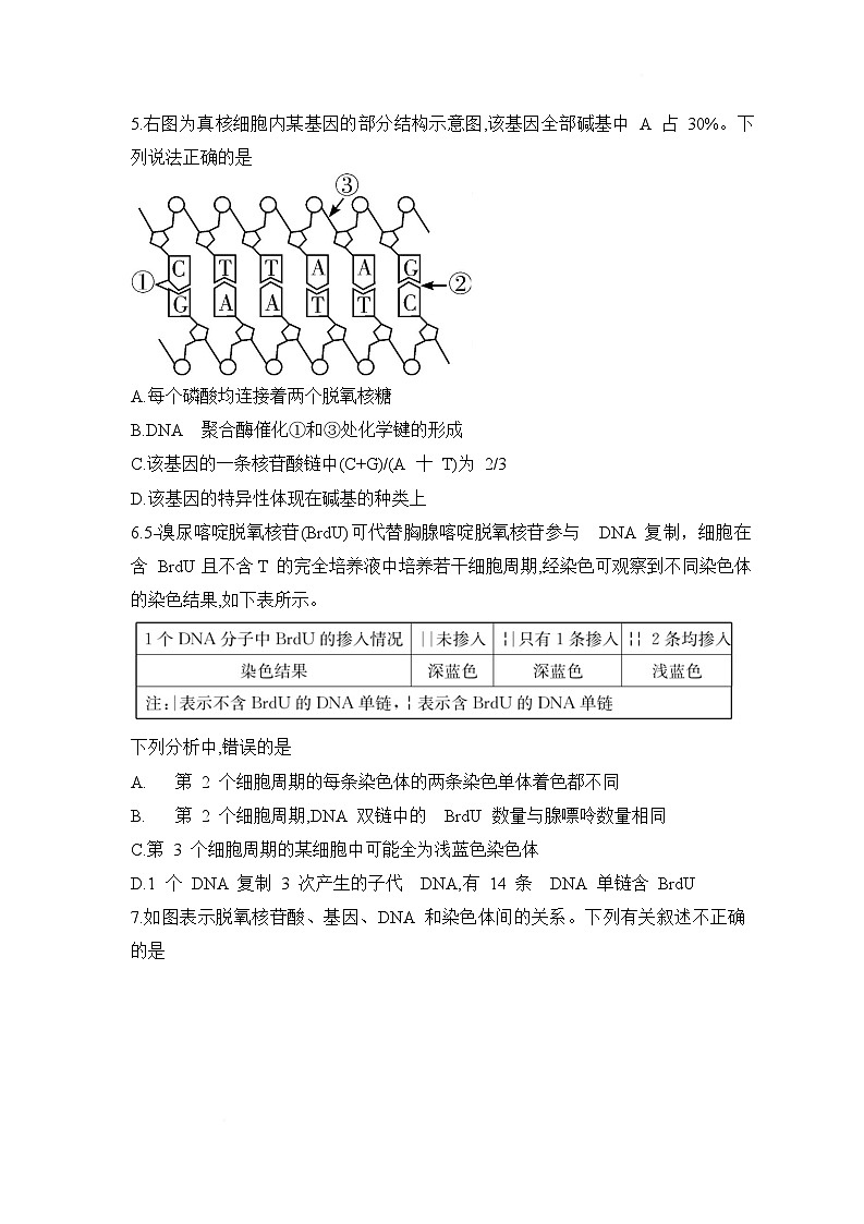 湖南省长沙市第一中学2024-2025学年高一下学期期中考试生物试题 含解析第2页