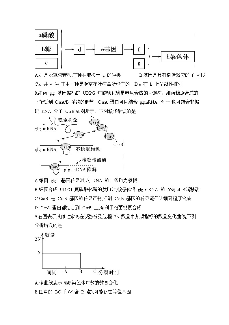湖南省长沙市第一中学2024-2025学年高一下学期期中考试生物试题 含解析第3页