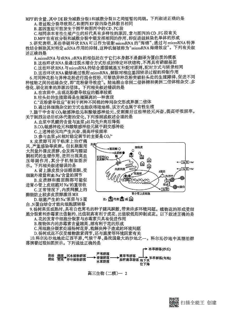 辽宁省协作校2025届高三下学期4月二模试题生物PDF版含答案第2页