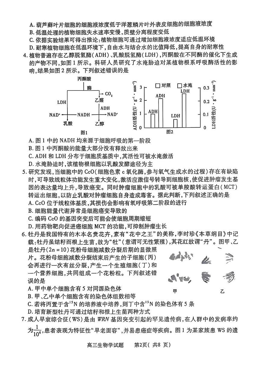 河南省五市2025届高三下学期4月联考（二）-生物试题+答案第2页