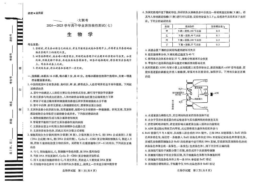 河南天一大联考2025届高三下学期4月考阶段性测试（七）-生物试题+答案第1页