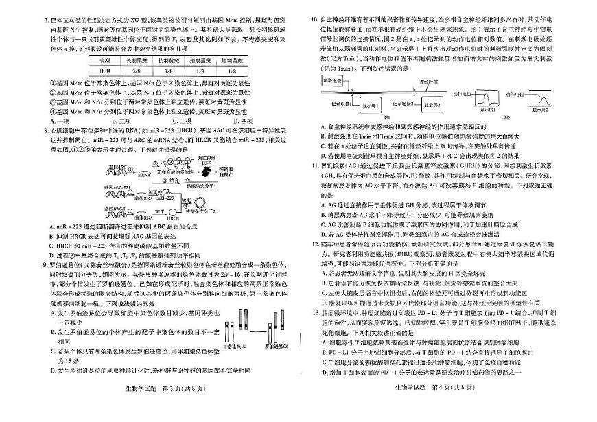 河南天一大联考2025届高三下学期4月考阶段性测试（七）-生物试题+答案第2页