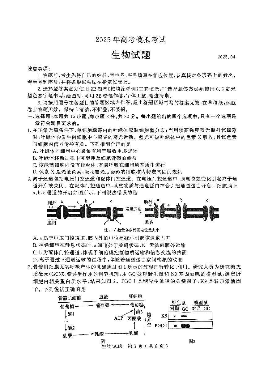 山东省济宁市2025届高三高考模拟第二次模拟-生物试卷无答案第1页