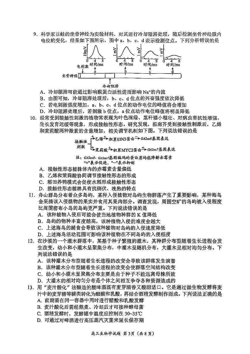 山东省日照市2025届高三校际联合高考模拟第二次模拟-生物试题+答案第3页