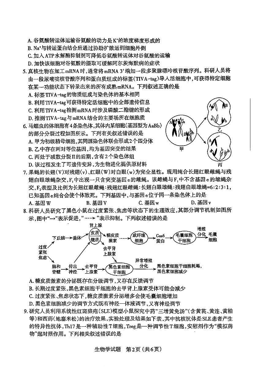 山西省太原市2025届高三高考模拟第二次模拟-生物试题+答案第2页
