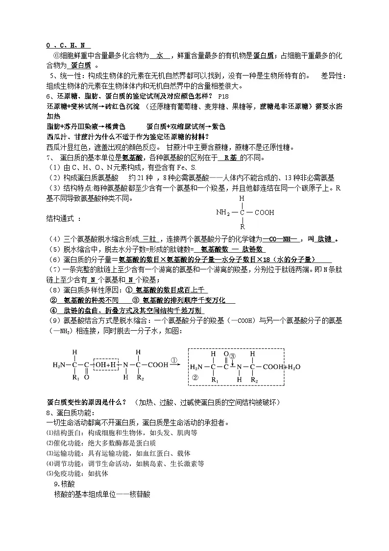 高中学业水平合格性考试人教版（2019）生物必背知识点考点提纲第2页