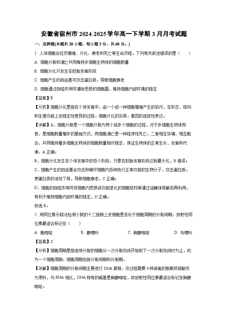 安徽省宿州市2024-2025学年高一下学期3月月考生物试题（解析版）第1页