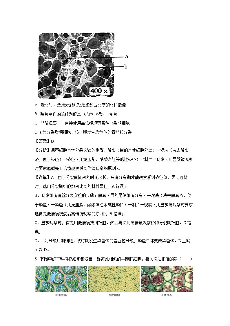 安徽省宿州市2024-2025学年高一下学期3月月考生物试题（解析版）第3页