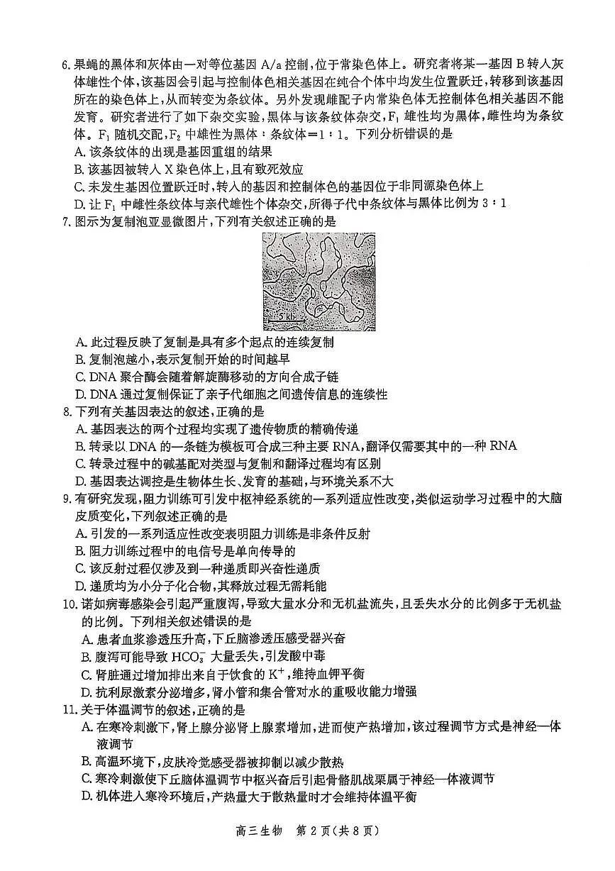 邯郸市2025届高三年级第四次调研监测-生物试卷第2页