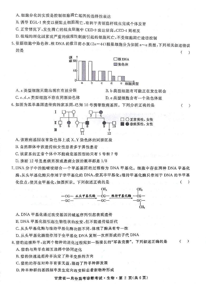 甘肃省2024届高三上学期1月份高考诊断考试（甘肃一诊）生物试卷（含答案）第2页
