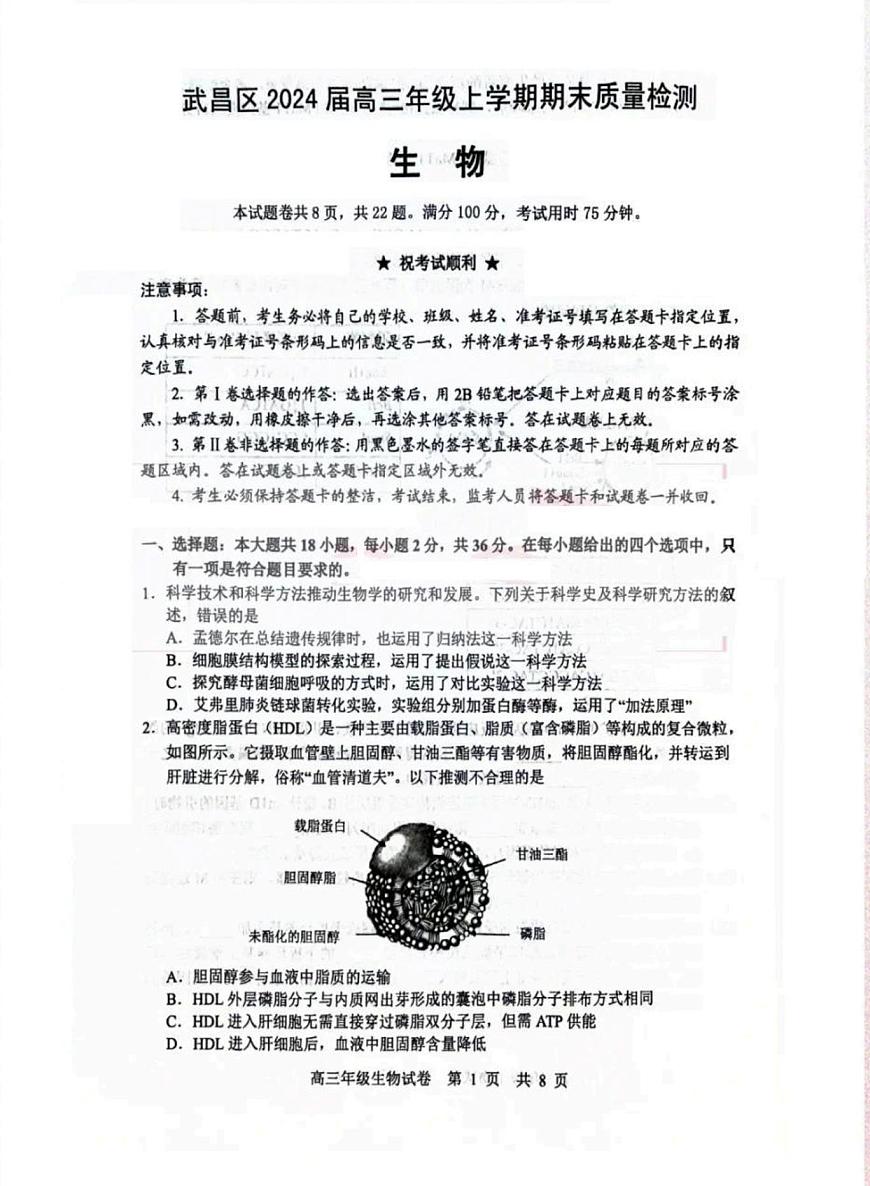 湖北省武汉市武昌区2023-2024学年高三上学期期末质量检测生物试题（含答案）第1页
