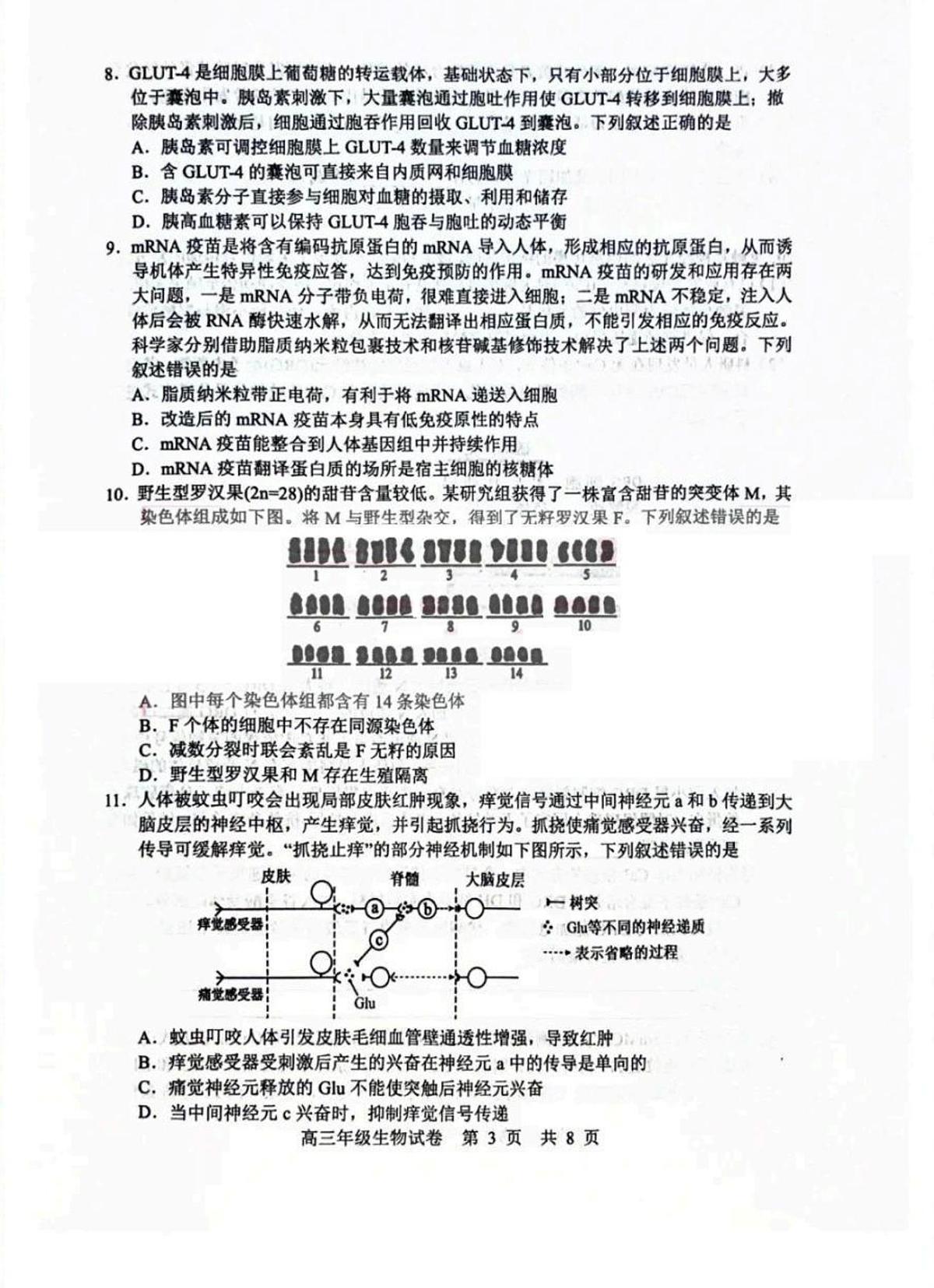 湖北省武汉市武昌区2023-2024学年高三上学期期末质量检测生物试题（含答案）第3页
