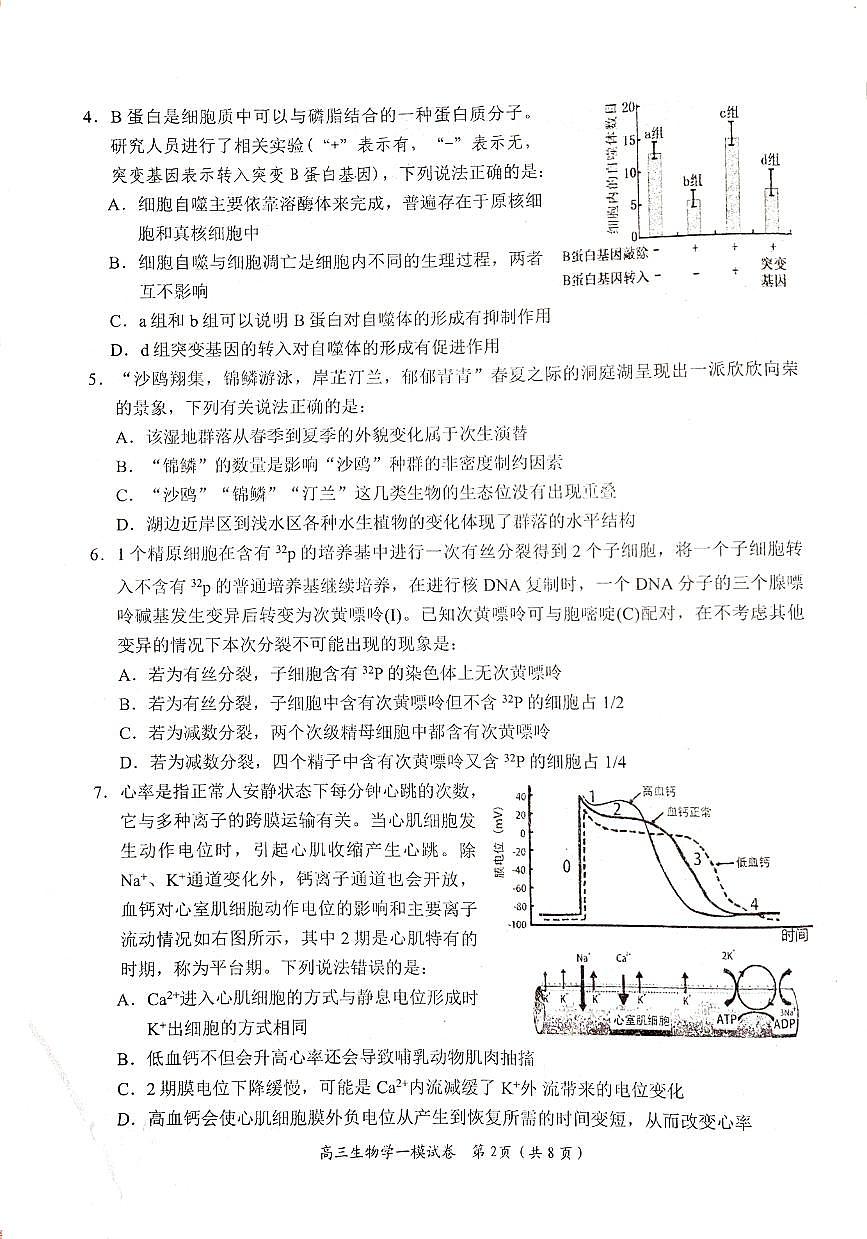湖南省岳阳市2024届高三上学期质量监测（一）生物试卷（含答案）第2页