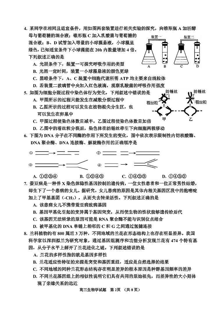 吉林省吉林市2024届高三上学期第二次模拟考试生物试卷（含答案）第2页