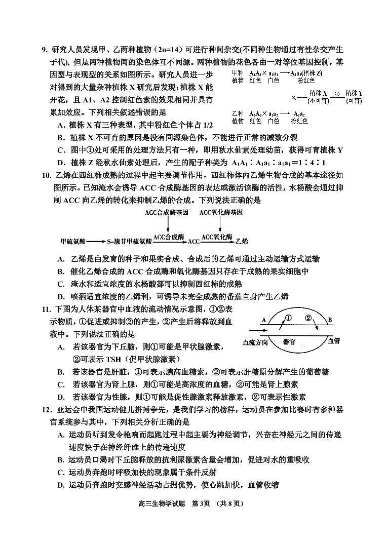 吉林省吉林市2024届高三上学期第二次模拟考试生物试卷（含答案）第3页