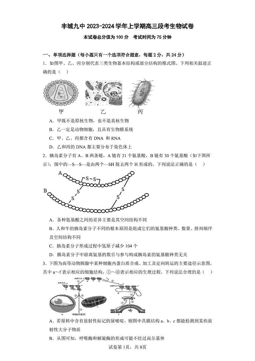 江西省宜春市丰城市第九中学2024届高三上学期12月月考生物试卷（含答案）第1页