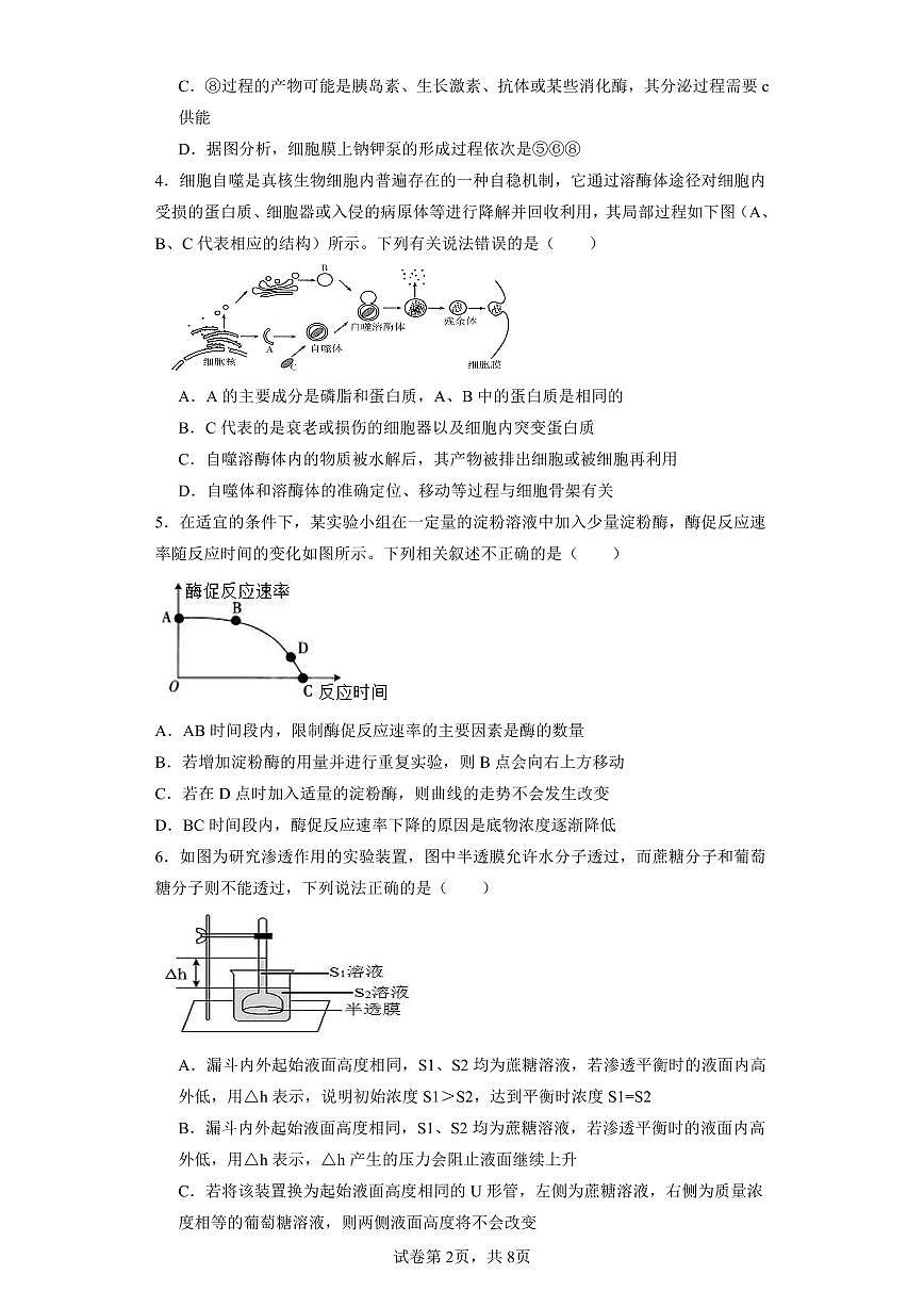 江西省宜春市丰城市第九中学2024届高三上学期12月月考生物试卷（含答案）第2页