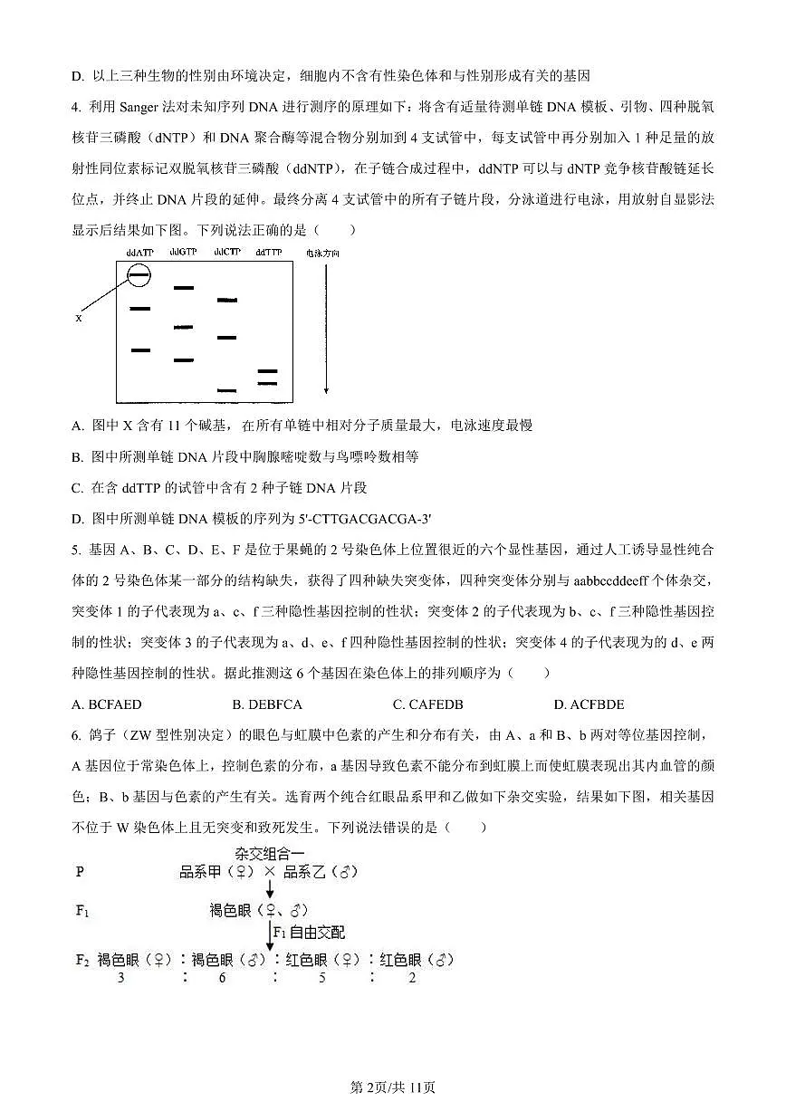 山东省济南市2024届高三上学期期末学习质量检测生物试卷（含答案）第2页