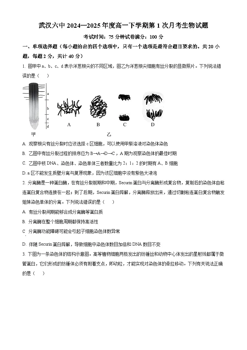 武汉六中2024-2025学年高一下学期3月考生物试卷（word版含解析）第1页