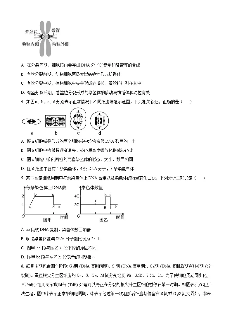 武汉六中2024-2025学年高一下学期3月考生物试卷（word版含解析）第2页