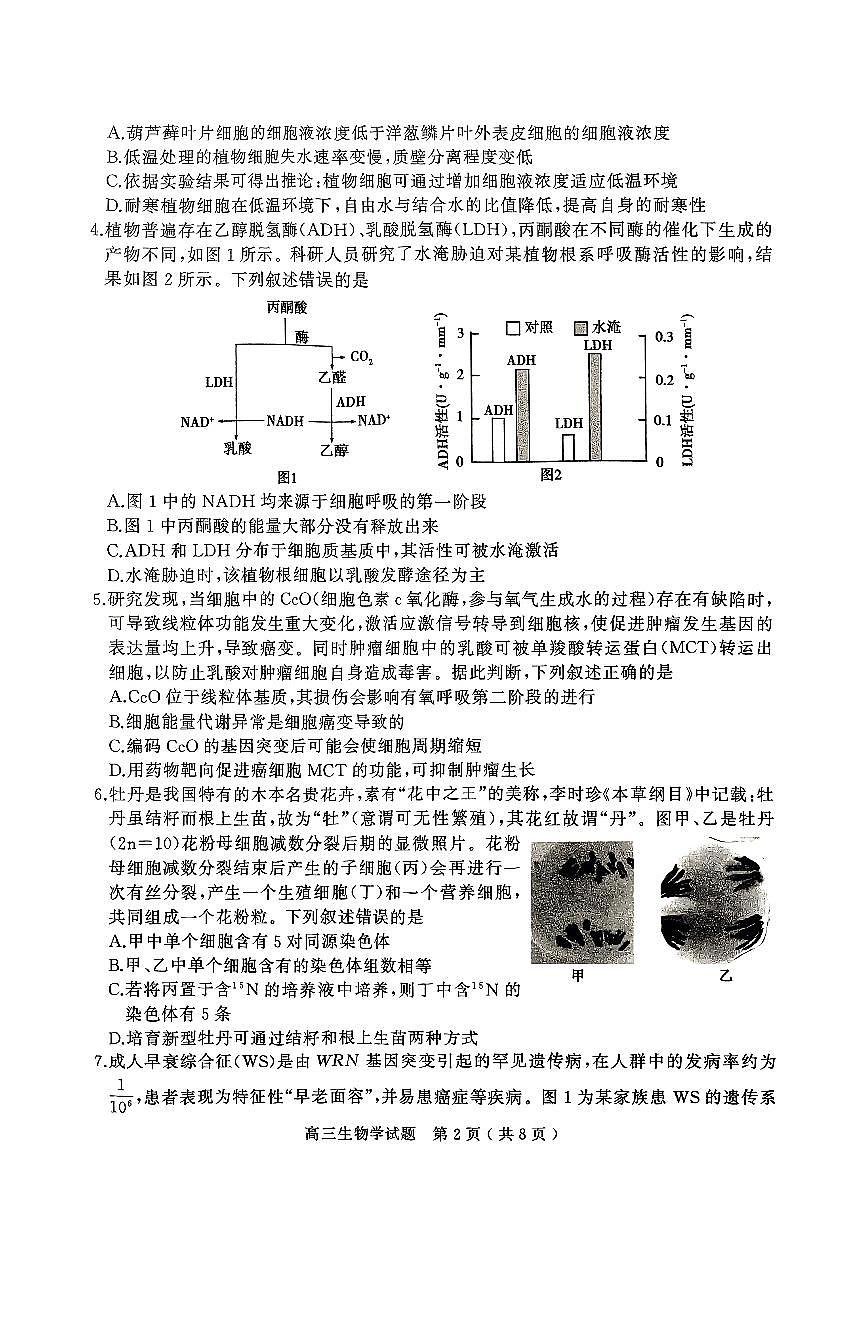 2025届河南省五市暨南阳市高三二模第二次联考 生物试题+答案第2页