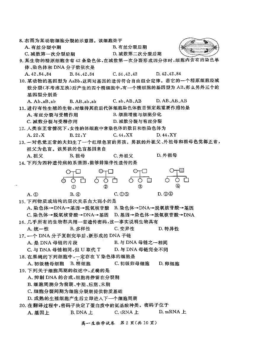 2025北京通州高一（下）期中真题生物（教师版）试卷第2页