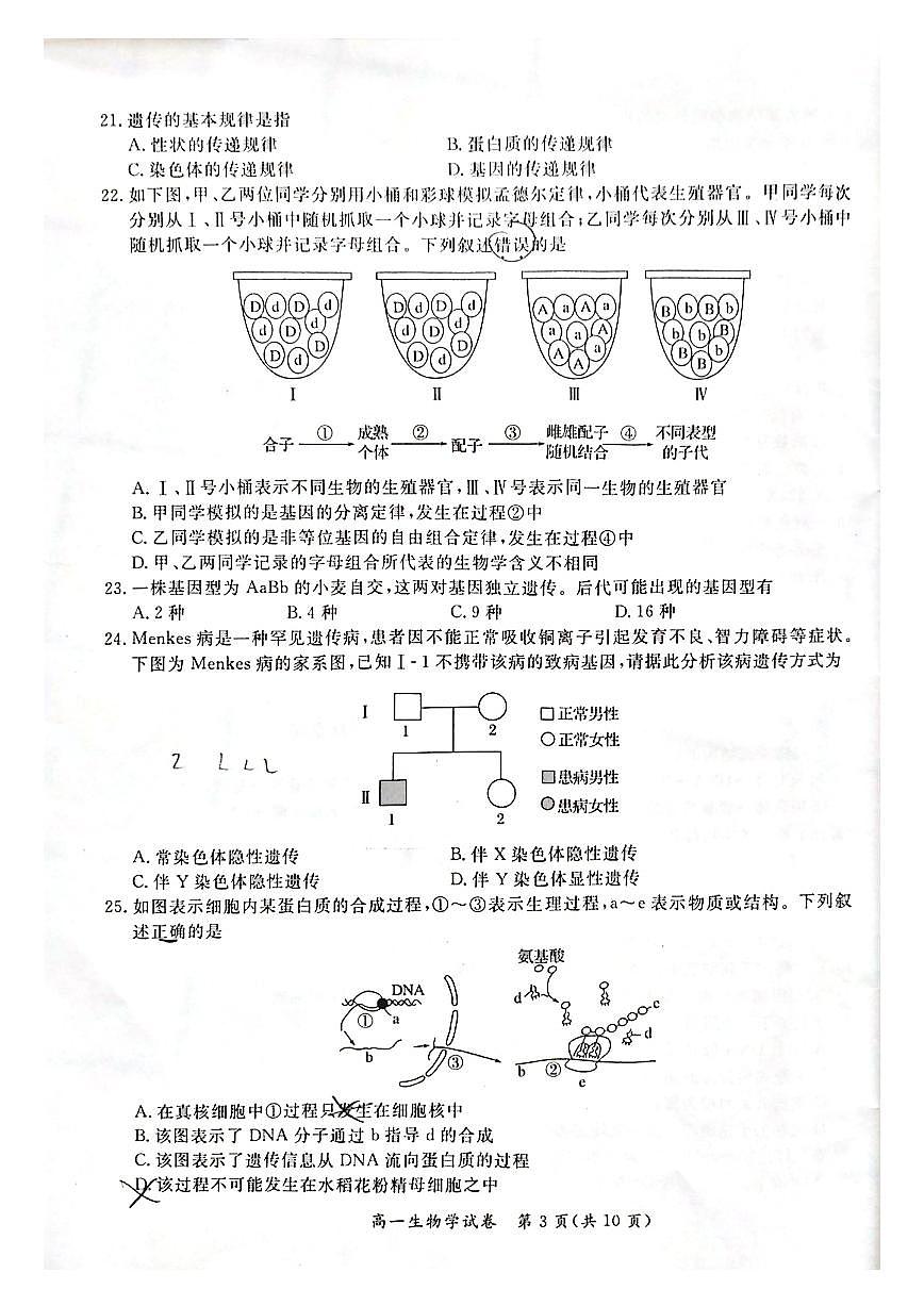 2025北京通州高一（下）期中真题生物（教师版）试卷第3页