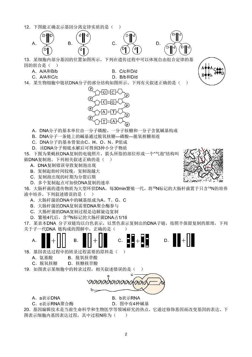 2025北京交大附中高一（下）期中真题生物试卷第2页
