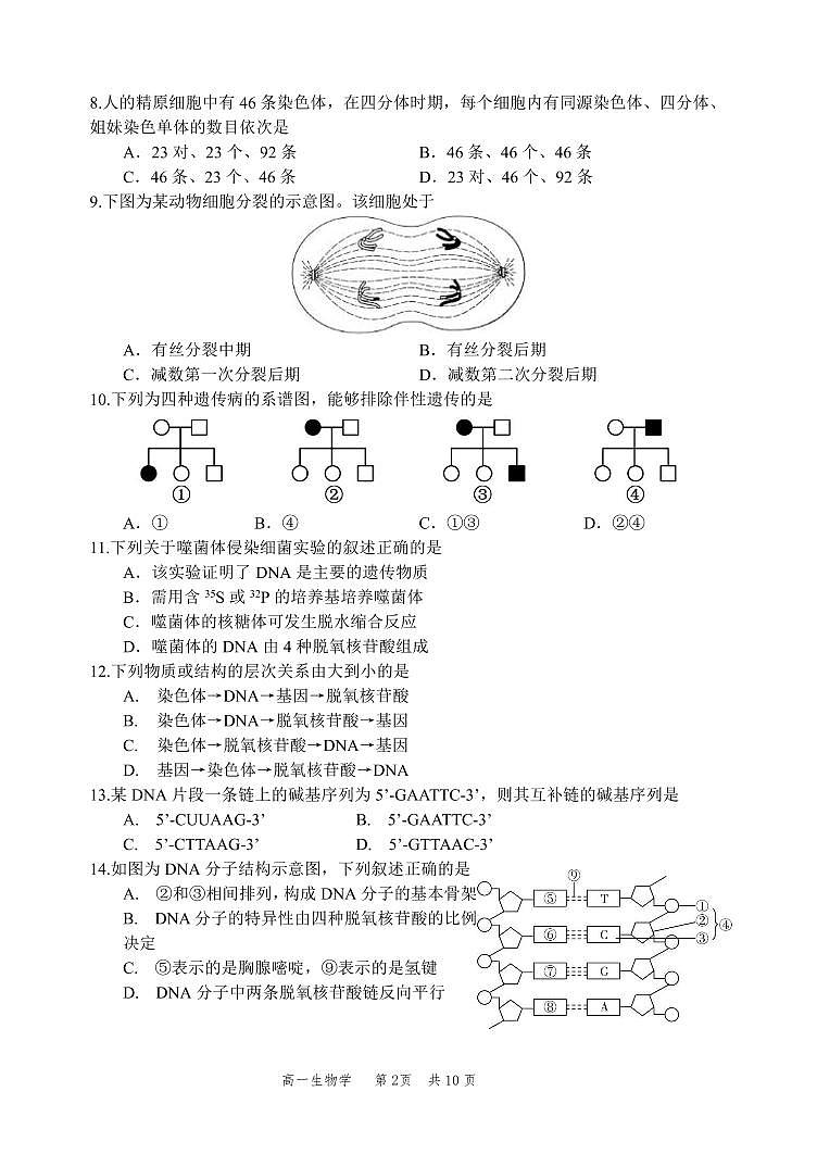 2025北京丰台高一（下）期中真题生物（教师版）试卷第2页