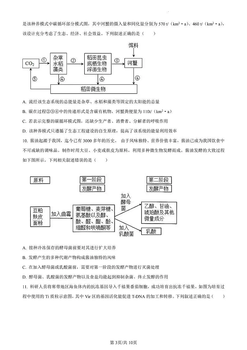 湖南省衡阳市八中2023-2024学年高三12月月考生物试题（含答案）第3页