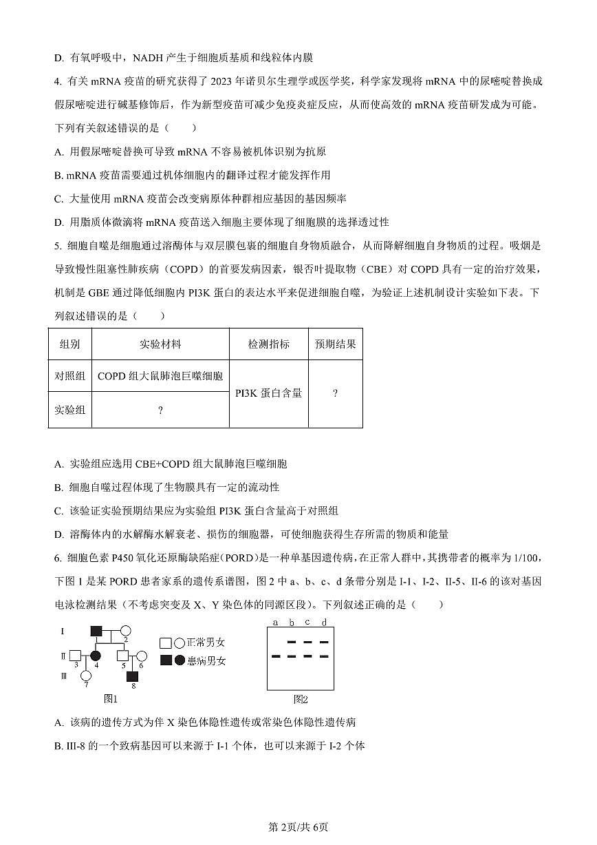 内蒙古自治区锡林郭勒盟2023-2024学年高三1月期末生物试卷（含答案）第2页