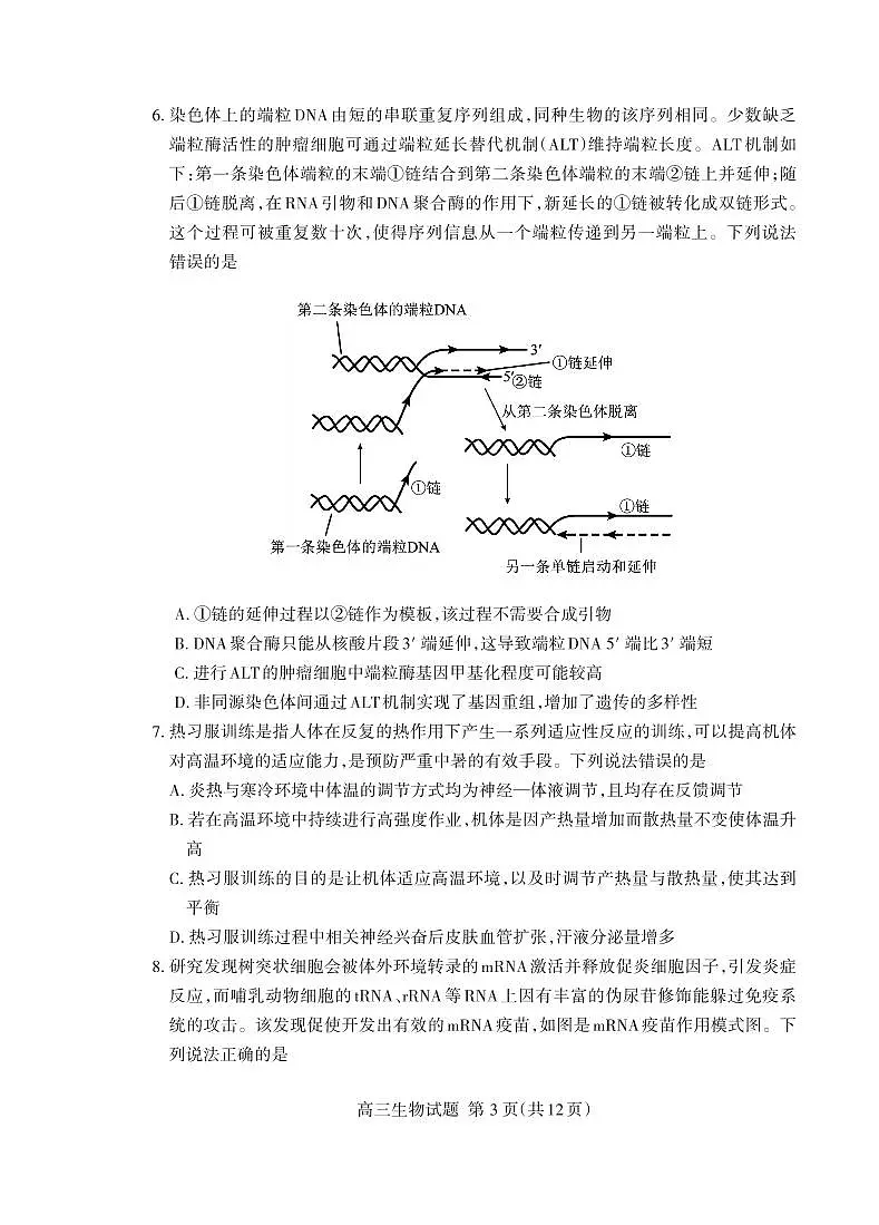 2025届山东省泰安市高三二模二轮检测 生物试题及答案第3页
