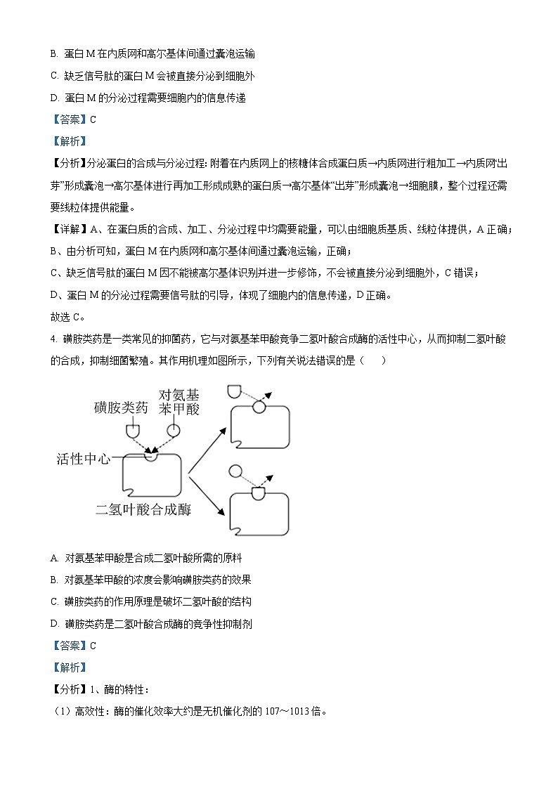 2022届广东省深圳市高三下学期第一次调研考试（一模）生物试题 附解析第2页