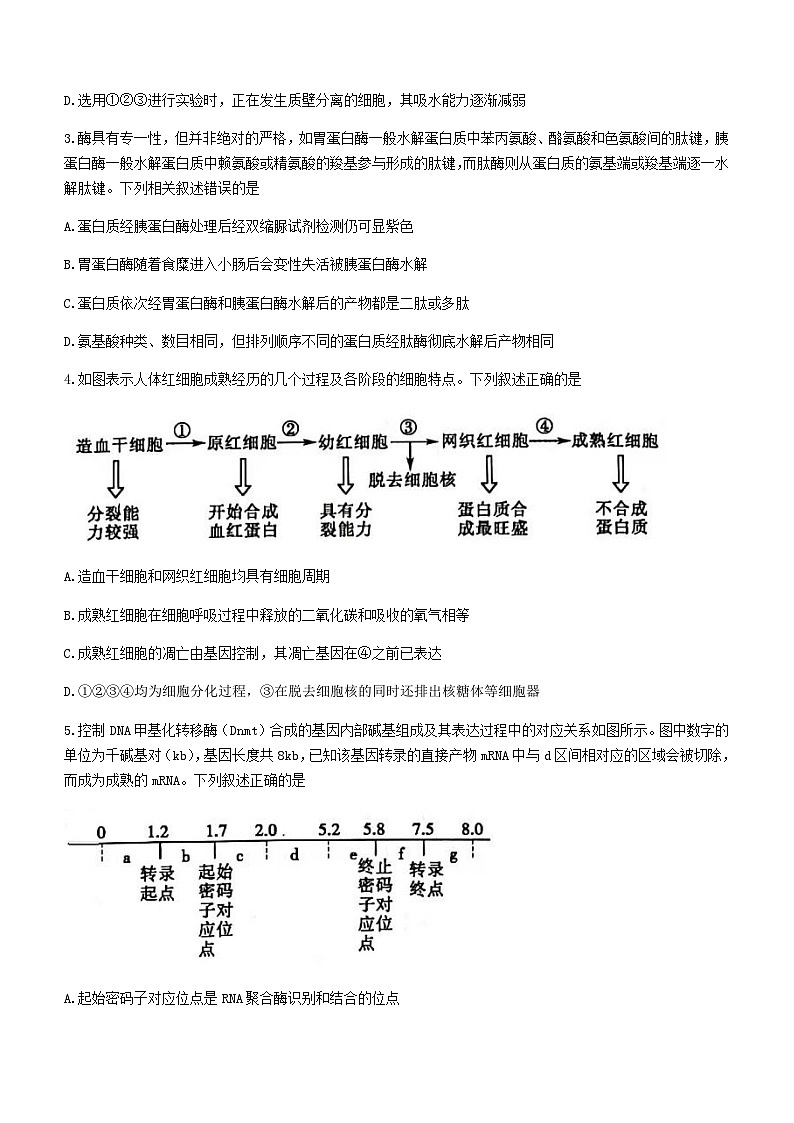 2022届山东省聊城市高三高考一模考试生物试卷 附答案第2页