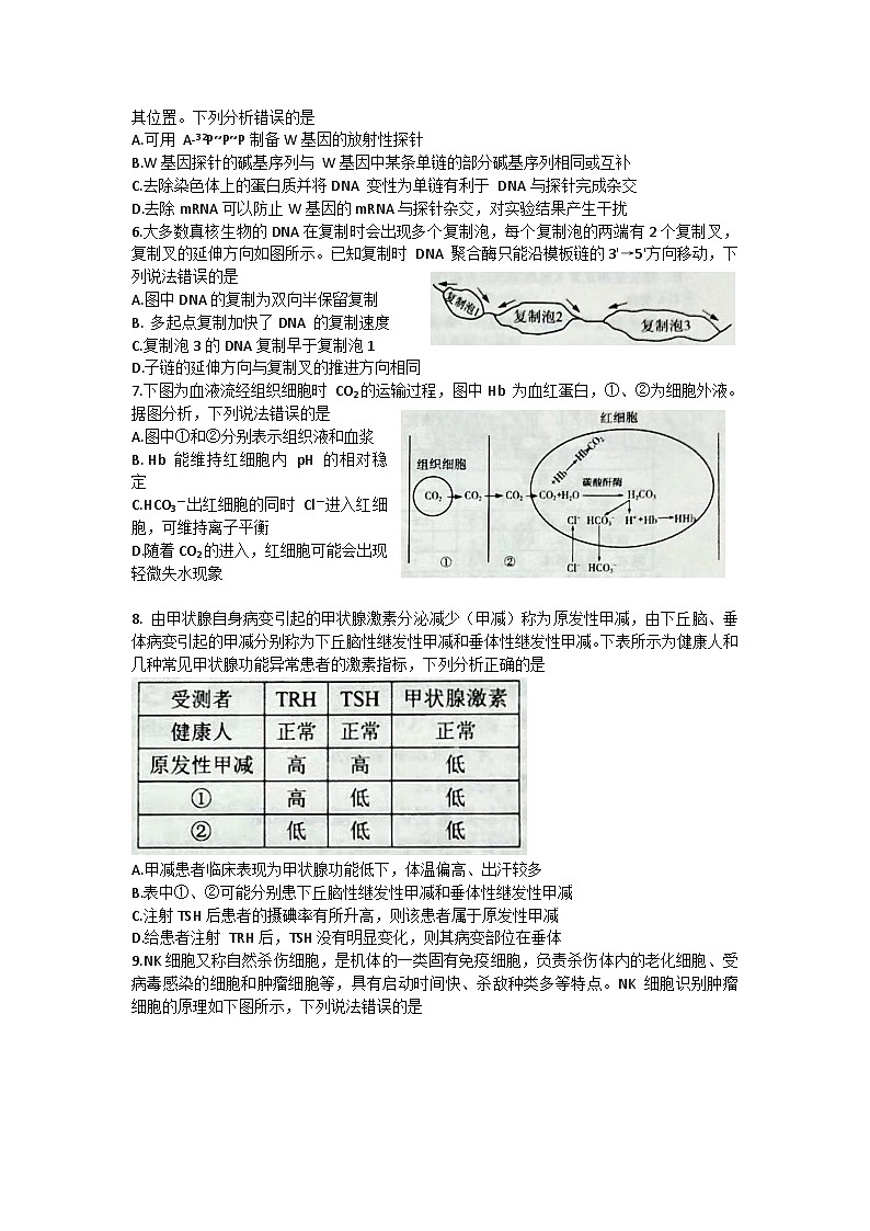 2022届山东省淄博市高三一模考试生物试题 附答案第2页
