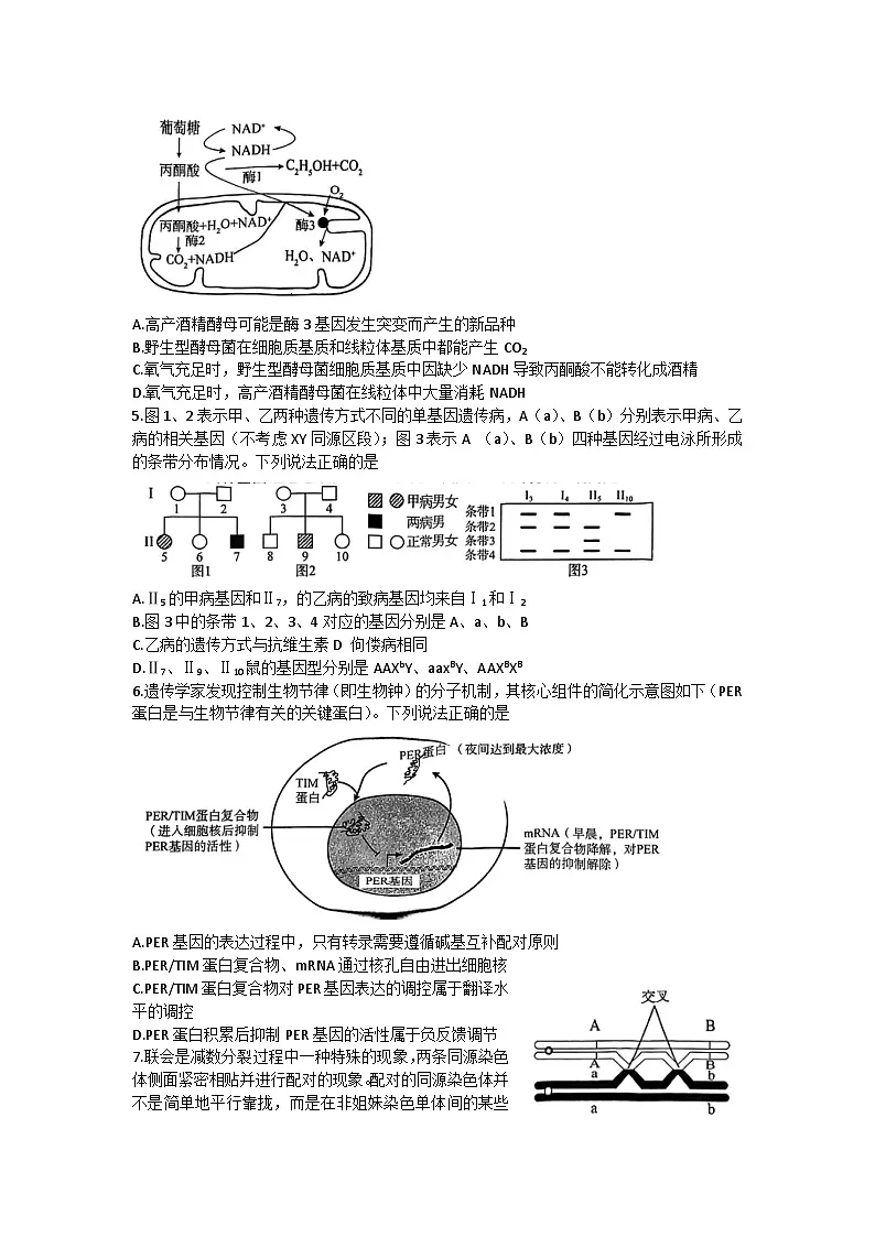 2023届山东省菏泽市高三下学期一模考试生物试题 附答案第2页