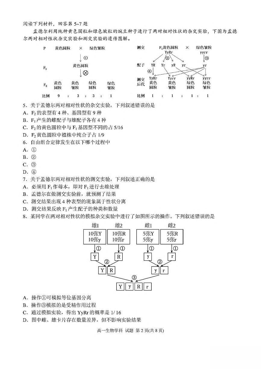 浙江省嘉兴市八校2024-2025学年高一下学期4月期中联考试题 生物 PDF版含答案第2页