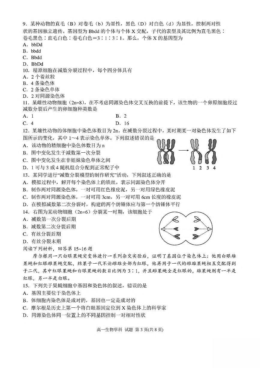 浙江省嘉兴市八校2024-2025学年高一下学期4月期中联考试题 生物 PDF版含答案第3页