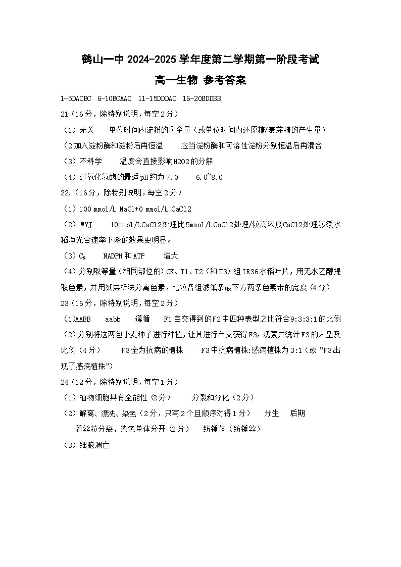 鹤山一中2024-2025学年度第二学期第一阶段考试高一生物答案第1页