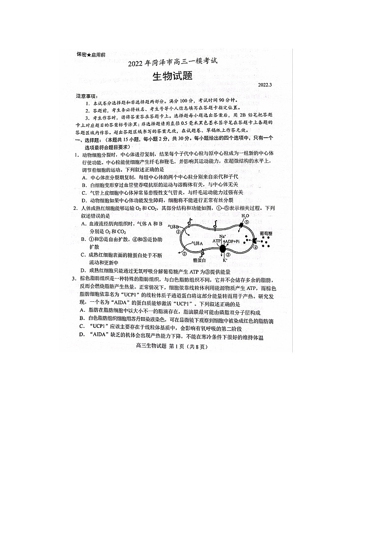 山东省菏泽市2022届高三3月一模生物试题 附答案第1页