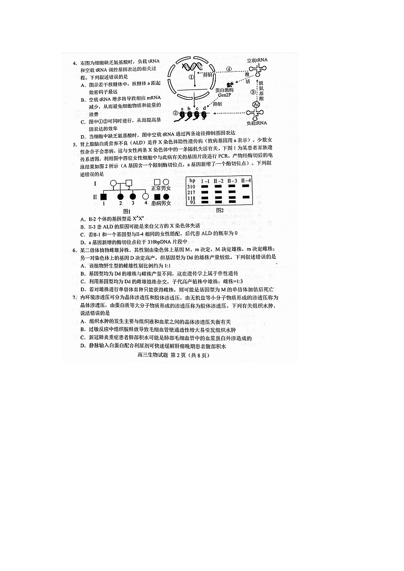山东省菏泽市2022届高三3月一模生物试题 附答案第2页