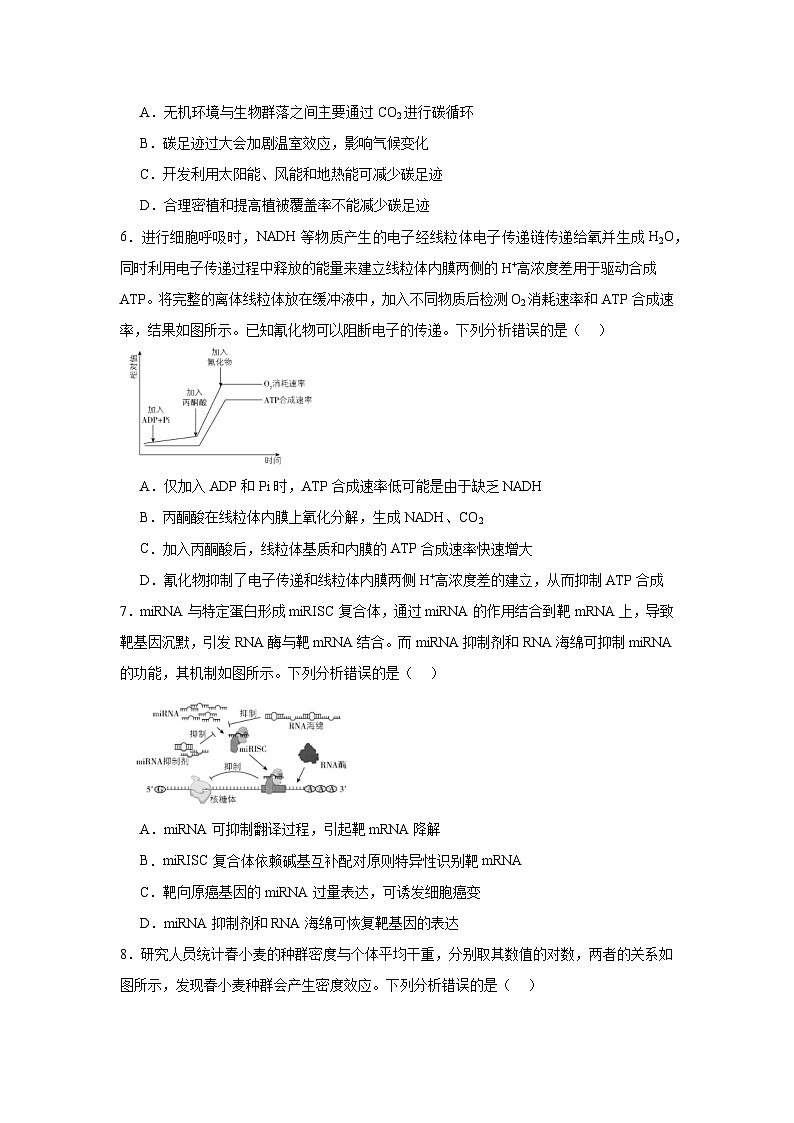 2025届东北三省理想树联考高三下学期4月模拟考试生物试卷（无答案）第2页