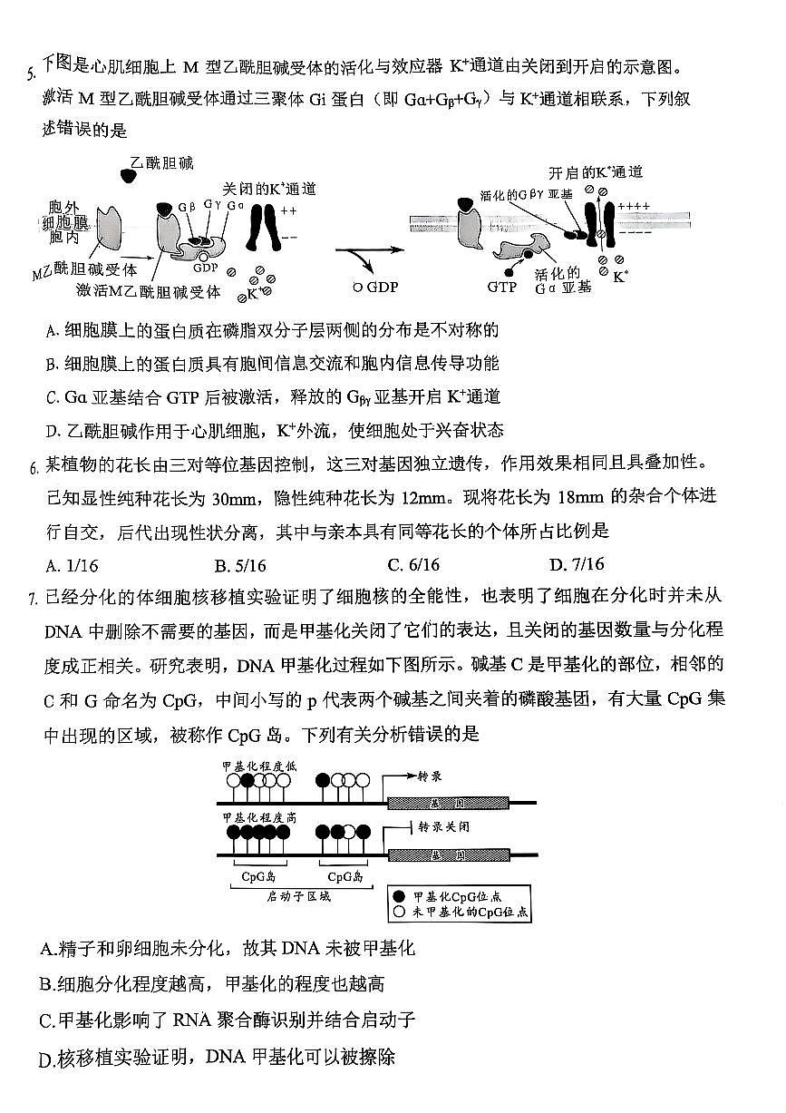 四川省绵阳市高中2022级第三次诊断性考试生物第2页